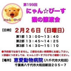 2月26日(日)🌸にゃん☆ぴーす猫の譲渡会🌸「恵愛動物病院」八千...