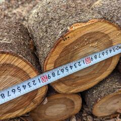 桜の丸太 枝 30センチくらい 10本