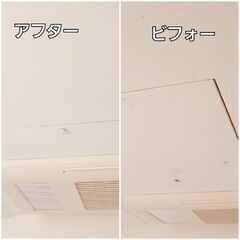 室内清掃 作業員募集　経験者・WワークOK    − 東京都