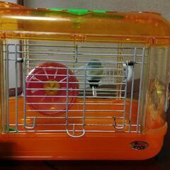 2匹のジャンガリアンハムスター用品揃います高槻市に取りに来てください