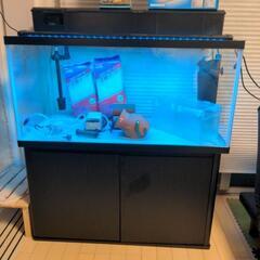 引取限定】90センチ水槽セット、専用水槽台付き