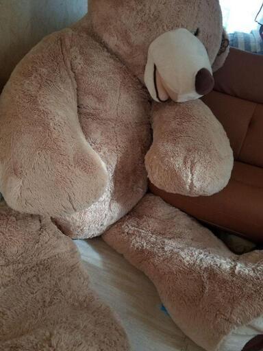 コストコ クマ 236cm