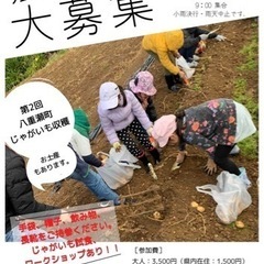 ジャガイモ収穫体験2/18(土)→2/19(日)へ変更となりました。