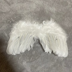 天使の羽．赤ちゃん．ニューボーンフォト