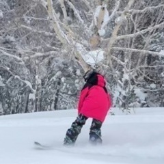 明日2/15急遽滑り行きませんかー？