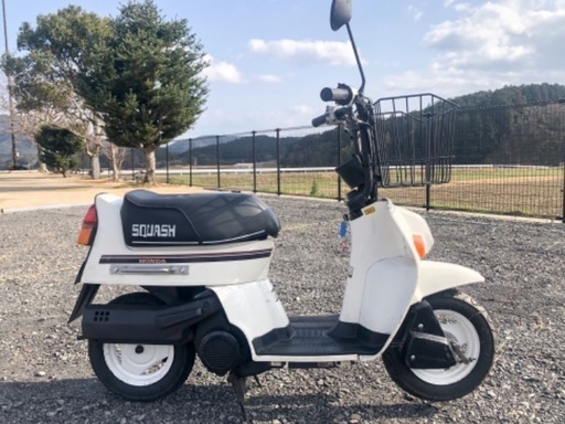 3150km スカッシュ 12V セル付き 50cc 実働 スクーター 整備済み