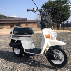 【売約済み】3150km スカッシュ 12V セル付き 50cc...