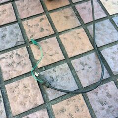 コーナン 型番不明 コンクリートミキサー コード式【市川行徳店