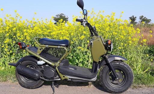 ズーマー50cc　カーキ色