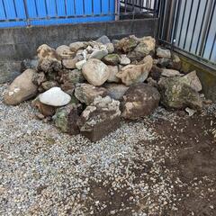 庭から掘り出された石