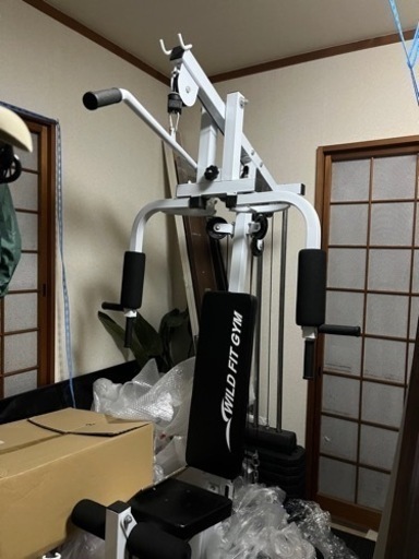 ラットプルマシン ホームジム 引取限定 東京都】 WILD FIT 200