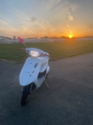 原付 ライブディオaf34 前期 ホンダ ライブディオ 前期 規制前 ホンダ