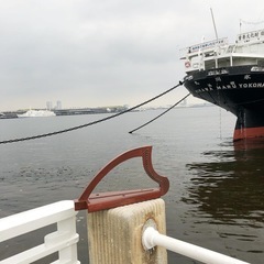 20弦国産ヒノキ製金属弦ハープ（マホガニー色 op.266）