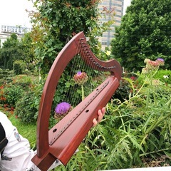 20弦国産ヒノキ製金属弦ハープ（マホガニー色 op.266）