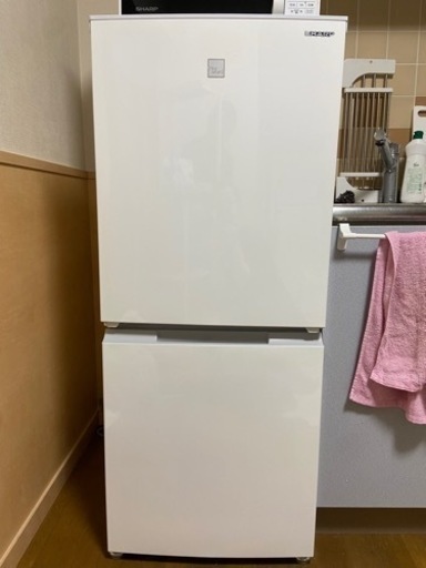 【決定】冷蔵庫