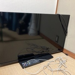 テレビ