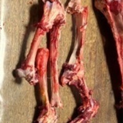 鹿やイノシシの骨、皮