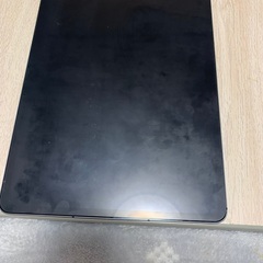 iPad Pro （第五世代）286GB 12.9インチ