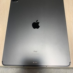 iPad Pro （第五世代）286GB 12.9インチ