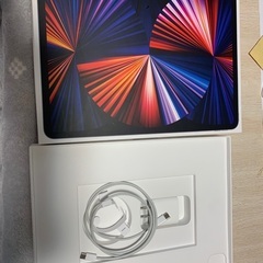 iPad Pro （第五世代）286GB 12.9インチ