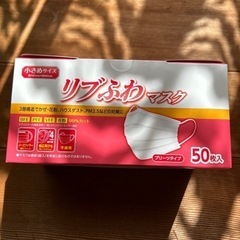 小さめマスク　1箱50枚入り✖️10箱　（500枚）