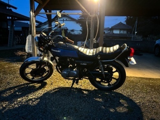 Kawasaki Z250FT