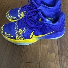 NIKEコービー5プロトロ