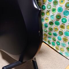 ESP EDWARDS E-T-98FR 黒紫色 ラルクアンシエル L'Arc-en-Ciel Tetsu