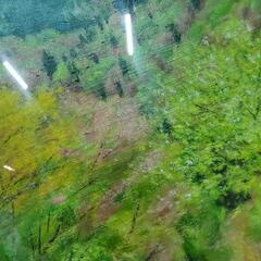 【売り切れ】北山　春橋本　保彦　作　絵画　定価10万