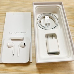 iPhone 8 Silver 256 GB