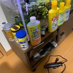 水槽　アクアリウム　熱帯魚