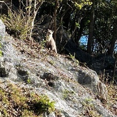 3月5日金華山登山