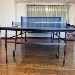 三英SANEI卓球台、卓球台用集球ネット、ボール大量