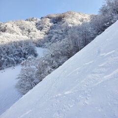レディースデーにスキーしよう！ − 岐阜県