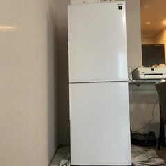 SHARP 冷蔵庫2019年製280L (2020年購入)