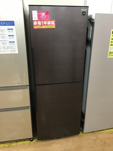 【トレファク神戸新長田】SHARPの2020年製2ドア冷蔵庫入荷しました！!！！【取りに来れる方限定】
