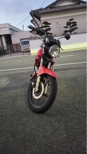 ヤマハ YBR125.