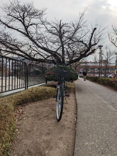 自転車 最近購入した自転車+ロック