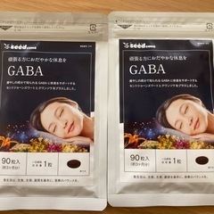 GABA 2袋 6ヶ月分 定価2,598円