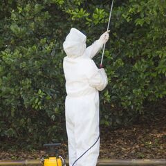  住居に潜む蜂やゴキブリ、 シロアリの防蟻処理は【害虫の生活緊急修理サービス 神奈川営業所】 - 害虫/害獣駆除