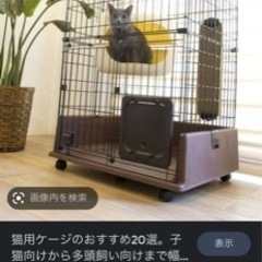 【ネット決済】猫 ゲージ
