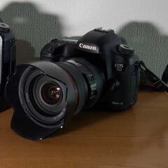 2/20まで】EOS 5D Mark III + 24-105mm F4L (アングルファインダー付き）