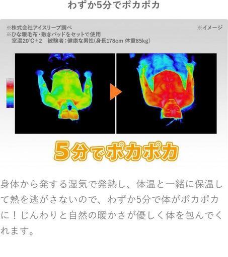 【本日限定投稿】届いたばかり！！新品未使用！　ひな暖　毛布　シングル