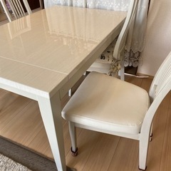 Cp win傘アンブレラbrightwin 2gether-伸縮式 ガラス加工天板の