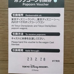 ディズニーポップコーン引換チケット