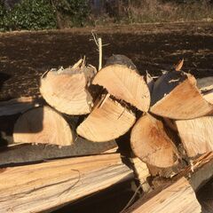 中古キャンバス木枠　F 100号(一久製) ¥20,000 中古キャンバス木枠 F 100号(一久製)1本 中古キャンバス木枠 F