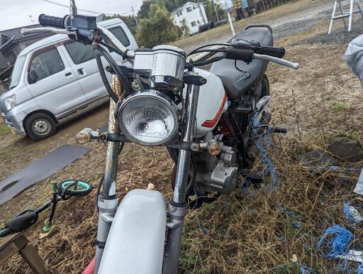 FTR223（決まりました）
