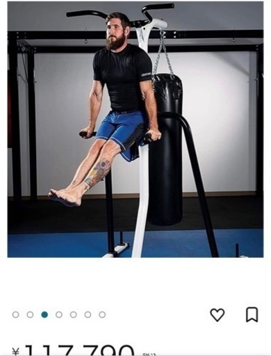 別サイトにて交渉中 サンドバッグ センチュリー 懸垂