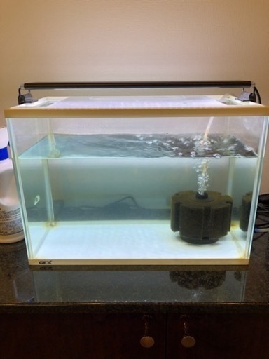 アクアリウム水槽セット