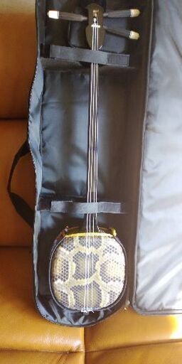 お話中)お安くしました!本場沖縄三線新品 - www.coronelezequiel.rn